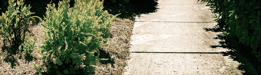 安卓ddos攻击工具